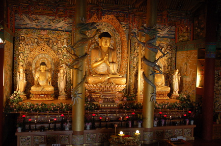 Buddha - india, buddha, religious, temple