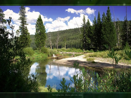 lake in the woods - nature, sky, lake, trees, grass