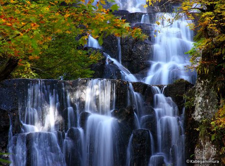 Nature at its best - trees, water, waterfall, cascade, rocks