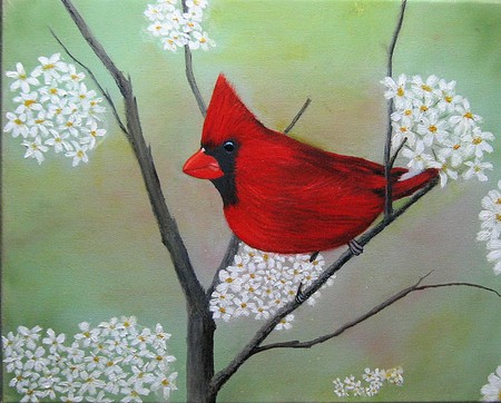 The Beautiful Red One - pretty, branch, red, cardinal, beak, black