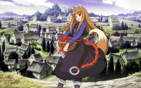 Horo - anime, horo, shoujo, spice and wolf