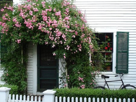 flower way - flowers, bike, house, door, window, fence