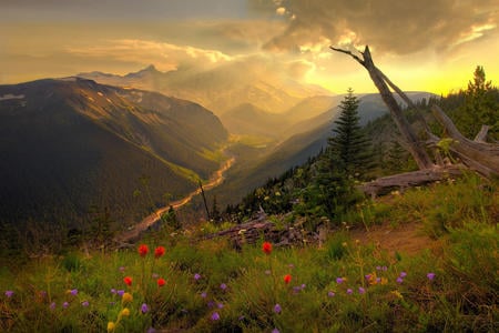 Spring has Arrived - clouds, beautiful, springtime, sunshine, valley, flowers, river, forests, nature, mountains