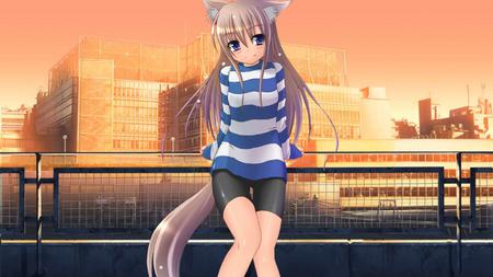 Fox girl - city, cute, fox, blue