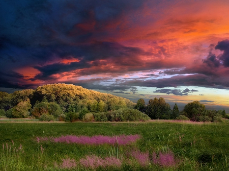 Sunset - clouds, trees, hills, beautiful, landscape, grass, colors, colorful, sunset, nature, picture, red, field, peaceful, sky