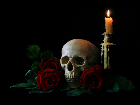 still life - skull, nice, candle, roses, photography, rose, still life, flower bouquet, cool, red, beautiful, flowers, photo, old, burning candle