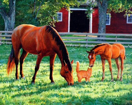 Visitors - trees, foal, barn, grass, pasture, fence, horse, cat