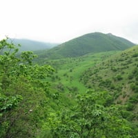 Arasbaran forest in iran-tabriz