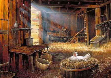 comes the sun - chicken, barn, straw, wagon, bucket, farm, sun