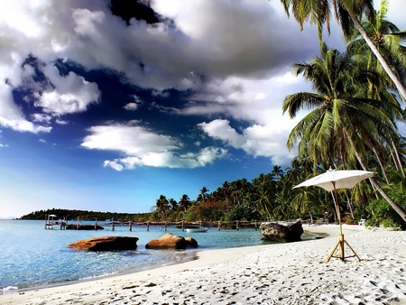 at the Beach - trees, nature, beach, sea, sand, sky