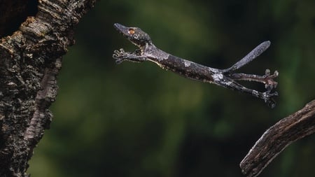 Crazy Looking Creature - creature, branches, tree, green