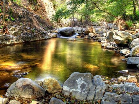 River - forests, nature, rivers, rocks