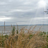 Camano Island Fall Beach