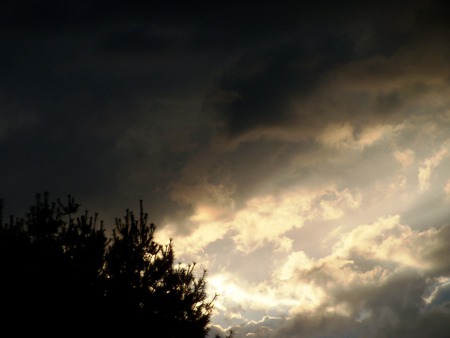 the Beauty of nature - clouds, pine tree, sunset, dark, sun