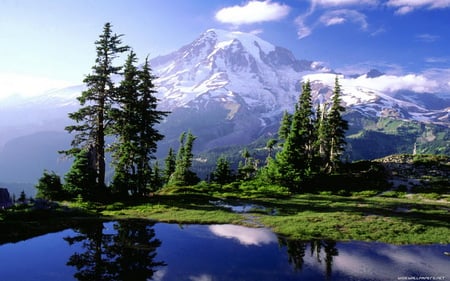 Alpine Jewel - clouds, trees, blue, beautiful, snow, forest, reflection, mountain, pines, lake, sky