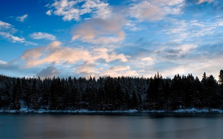 Blue Skies in a Frozen Forest - clouds, winter, nature, blue, snow, lake, forest, sky