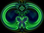 Green Butterfly of Love