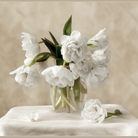 still life