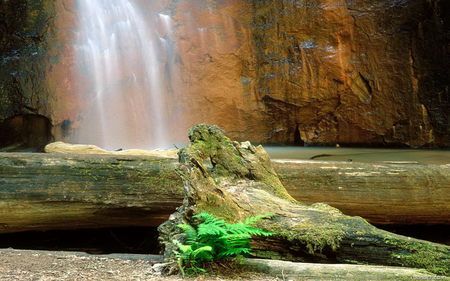 Rocky Falls - waters, waterfall, rocky, beautiful