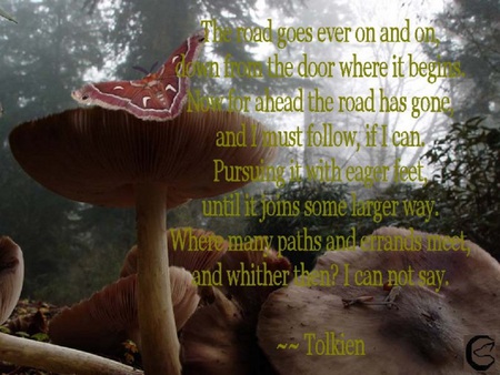 Forest Floor - butterfly, forest, fungi, poem