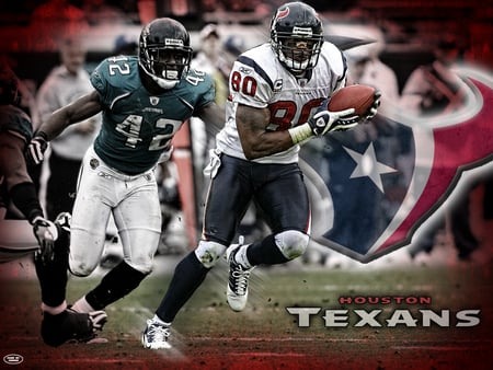 Houston Texans Football Team - houston, texans, football, team