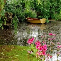 Colorful Lake