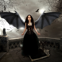 Vampire Angel