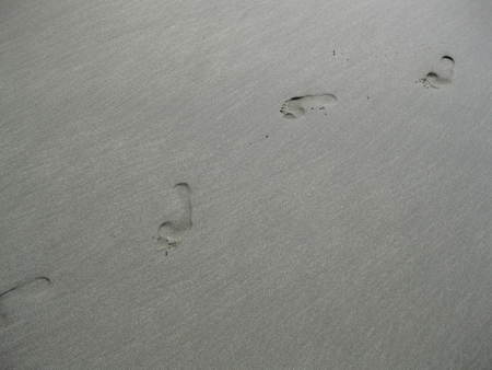 foot prints for one - footprint, beach, ocean, walk, sand, feet