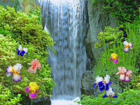 Waterfall & Iris - painting, irises, waterfall, plants