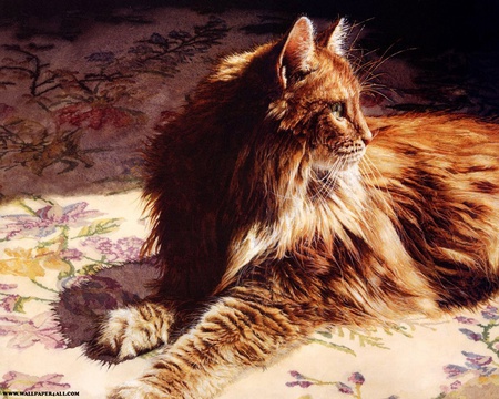 Pretty Kitty - laying, rug, painting, orange, cat