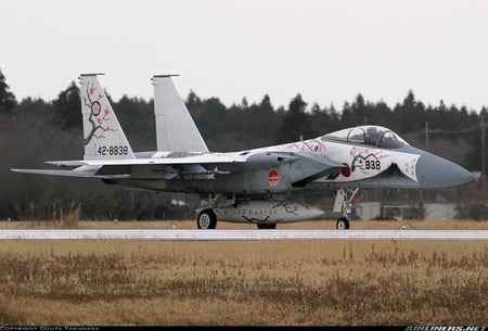 JAPAN F-15 EAGLE - a, e, g