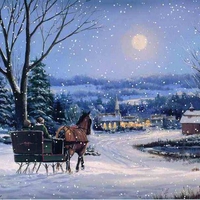 Snow Fall Sleigh  Ride