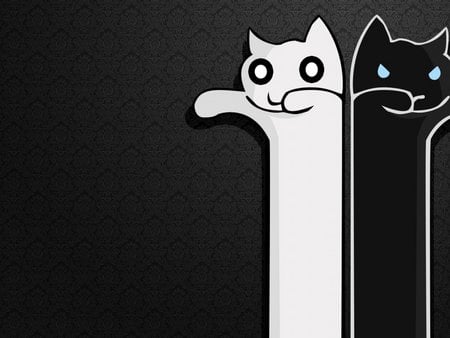 Abstract cats - abstract, black, white, cat