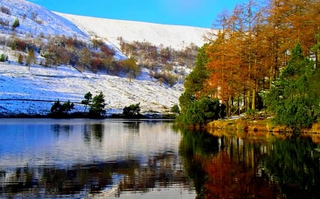 WINTER LAKE - reflections, ice, lake, trees, mountain, tree, pines