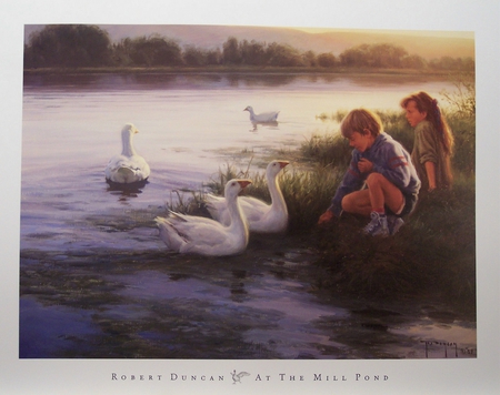 The Swan Pond - swans, feeding, pond, innocence, morning, children, bank