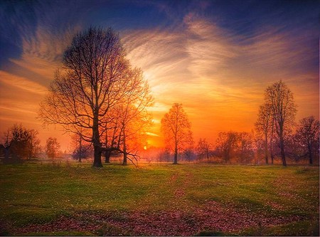 Park at sunset - autumn, green grass, orange misty sky, bare trees, clouds, park, sunset