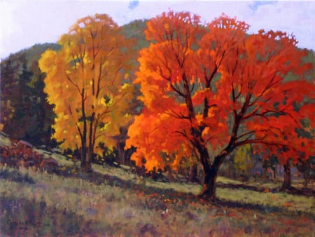 New Mexico Maple - autumn, cool, yellow, pretty, red, crisp