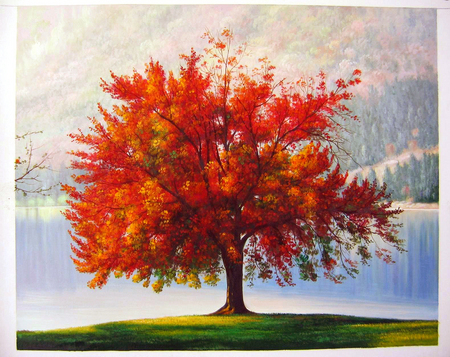 A Perfect Autumn Tree