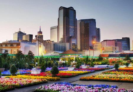 Country in the city - trees, sky scrapers, flower beds, colors, city, walkways, buildings