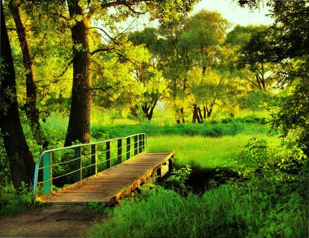 The last of summer green - wooden bridge, trees, branches, green, country