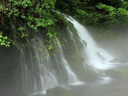 Mossy Waterfall - water, cascade, green, leafy, moss