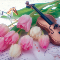 Violin and Tulips