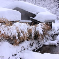 Winter in Japan