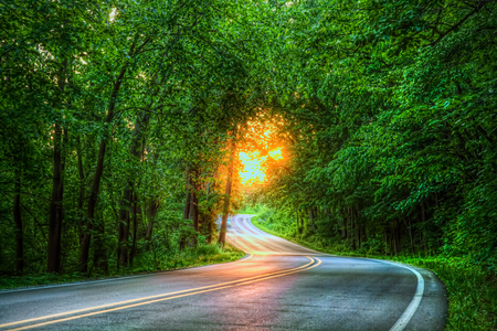 Road To... - sunlight, trees, beautiful, road, grass, colors, forest, light, leaves, nature, rays, green, peaceful