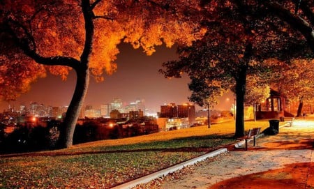 In Throught - autum, view, tree, bank, way