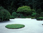 Japanese Garden