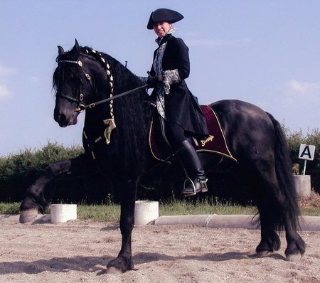 Dressed Up - dutch, black, friesian, horses