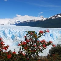 Perito Moreno Glacier