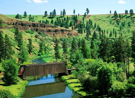 Old covered bridge