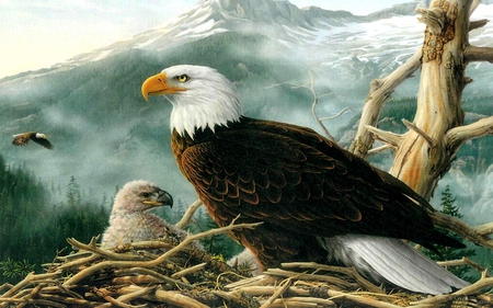 NEW FAMILY - eagle, nest, painting, baby eagle, eagles, mountain, tree